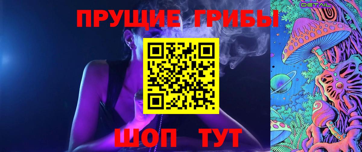 Псилоцибиновые грибы Psilocybe Корсаков